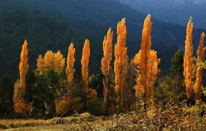 Riópar Casa Rural Nacimiento Rio Mundo المظهر الخارجي الصورة